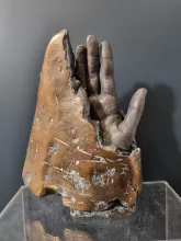 Sculpture Roulin - Sculpture en bronze "La Main".